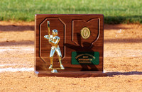 DHS Baseball Regional Championship